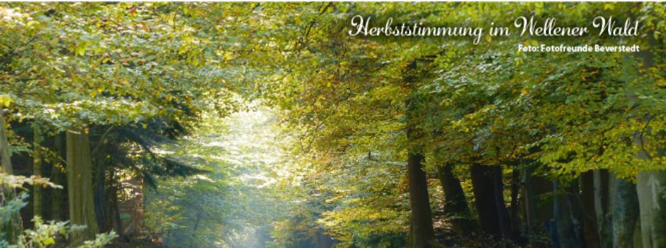Herbstausgabe der Beverstedter Rundschau ist da
