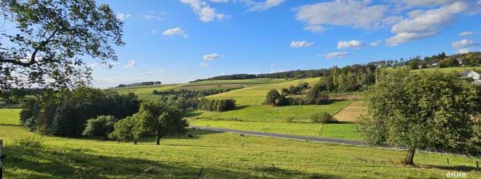 Wildbrut- und Setzzeit – Hunde anleinen