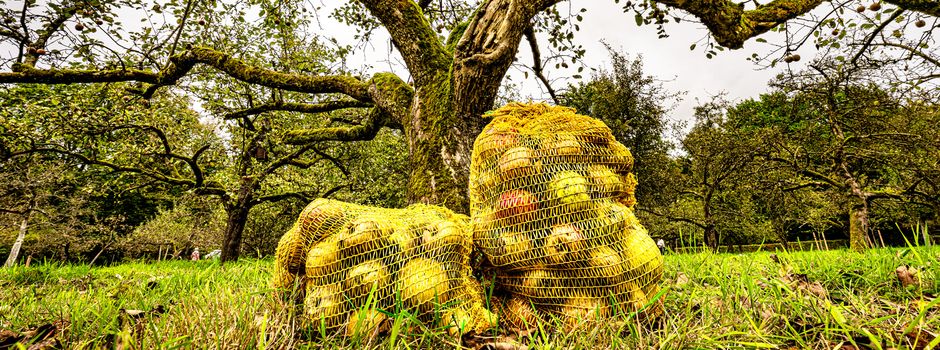 Damit Helferinnen und Helfer auch morgen noch kraftvoll zubeißen können