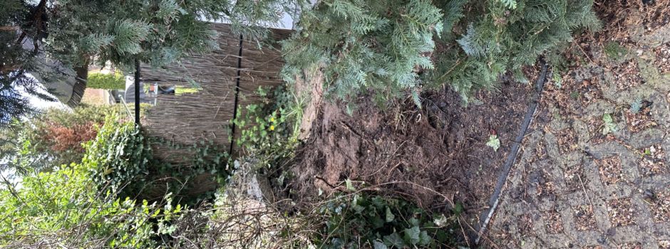 Einsatz freiwillige Feuerwehr Koserow