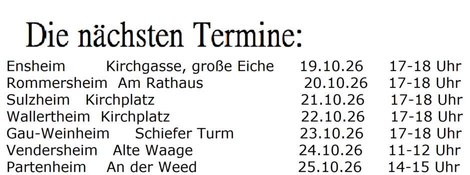Offenes Mikrofon zur VG-Bürgermeisterwahl