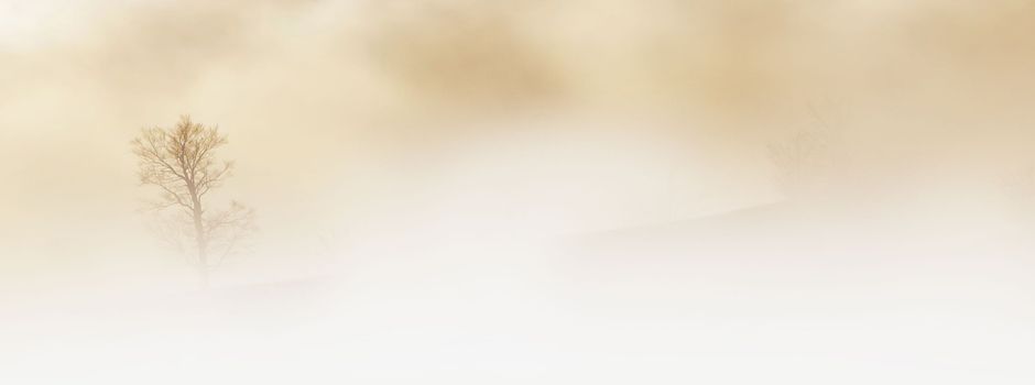 Hohe Feinstaubbelastung aktuell in Worms