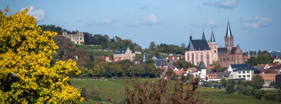 Das erwartet euch beim Katharinenmarkt in Oppenheim