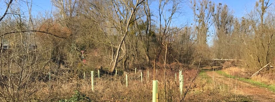 AKTION „SCHENK´ MIR EINEN BAUM!“ ABGESCHLOSSEN