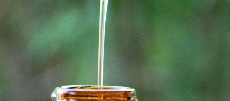 Anwendung von Heilpflanzen im Alltag 