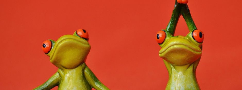 Neuer Rückentraingskurs