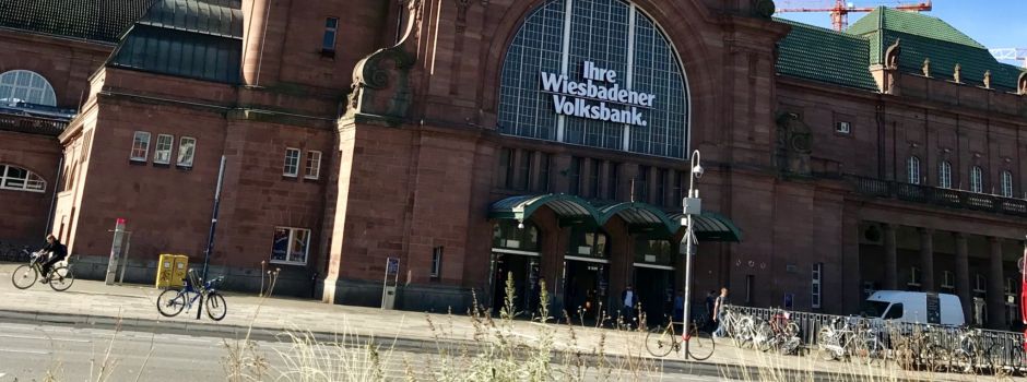 Mainzer mit 1,20-Meter-Schlange im Wiesbadener Hauptbahnhof