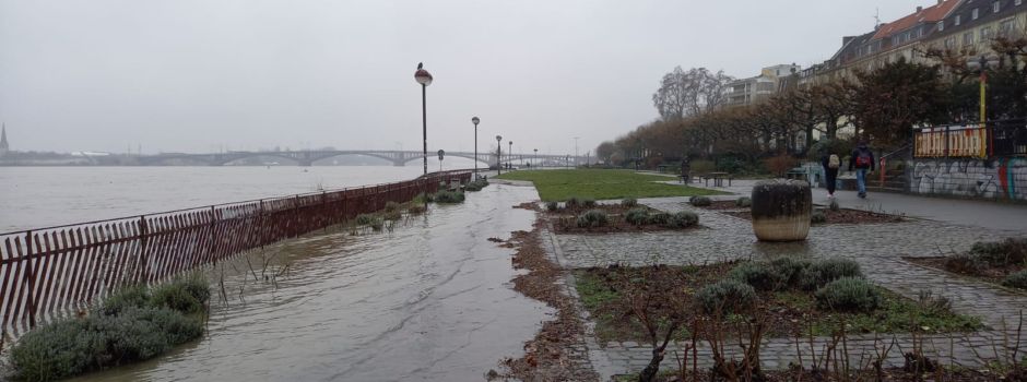 Bildergalerie: Hochwasser in Mainz