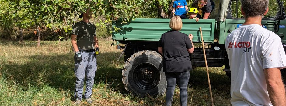 Apfelernte auf der Streuobstwiese 