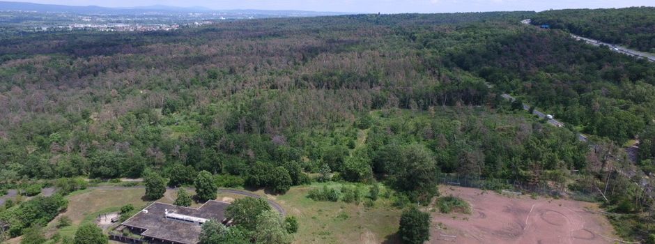 Baupläne im Lennebergwald: So ist der aktuelle Stand
