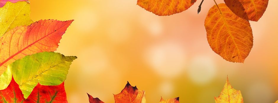 Herbstabend
