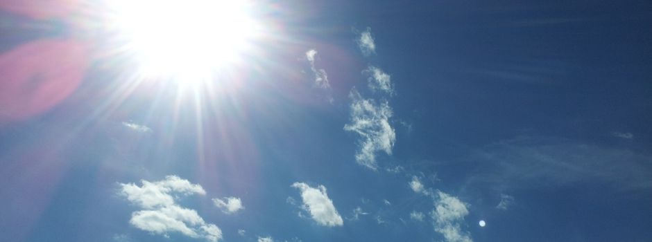 Wie Mainzer jetzt Obdachlosen in der Hitze helfen können