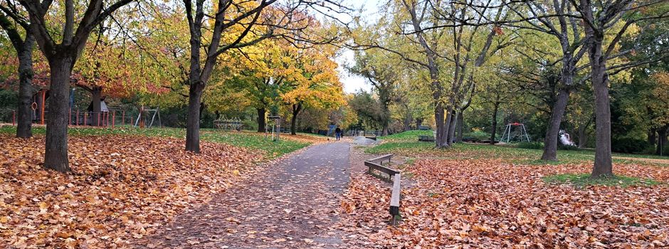 Mann in Mainzer Park mit Messer ausgeraubt