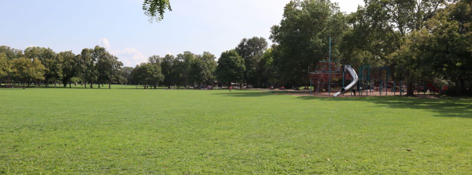 Verpuffung am Grill: Zwei Jugendliche im Mainzer Volkspark geraten in Brand