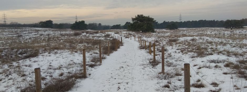 Ausflugsziele rund um Mainz