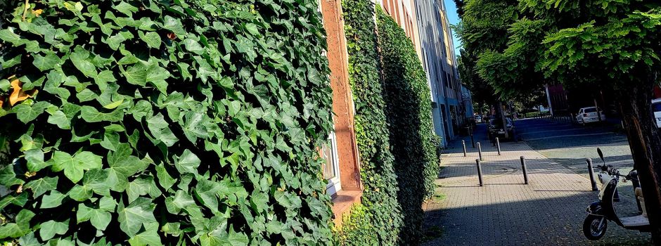 Gefährliche Körperverletzung in der Mainzer Altstadt: Junge (15) attackiert