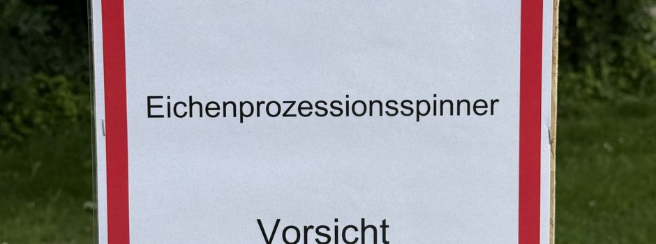 Eichenprozessionsspinner!