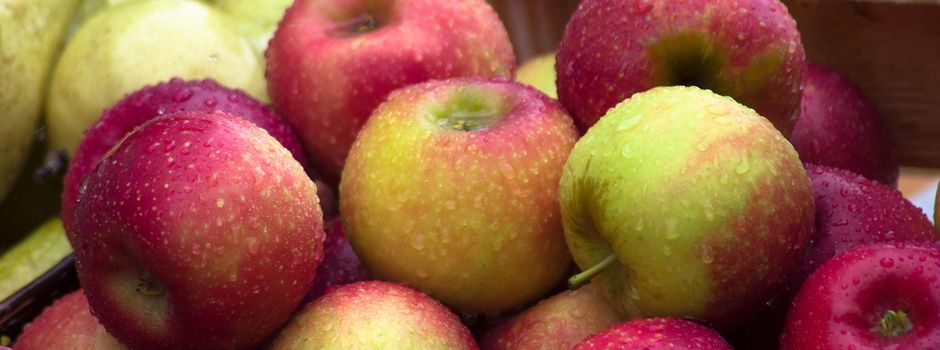 Eine ereignisreiche Woche beim OGV Neuberg mit Kelterfest und Schulkeltern