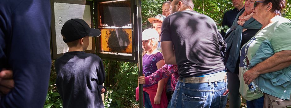 SOS Biene – Ein nachhaltiges Projekt mit großem Erfolg
