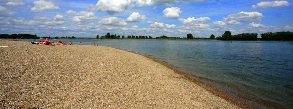 Freie Bahn zur Abkühlung: Oppenheimer Strandbad bleibt trotz ASP-Zaunbau geöffnet