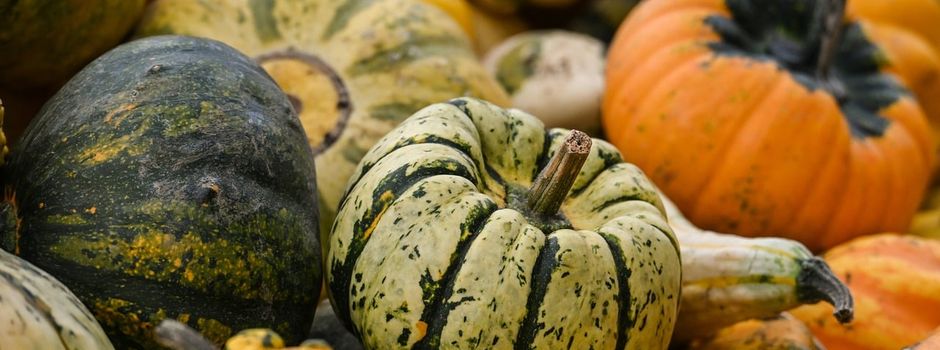 Herbst im Hof bei Handgemacht Deko & Wein