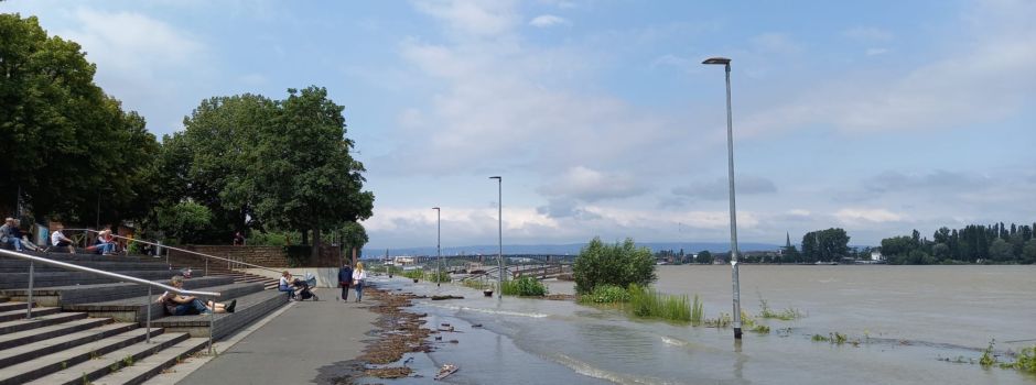 Hochwasser in Mainz: So sehen die aktuellen Prognosen aus