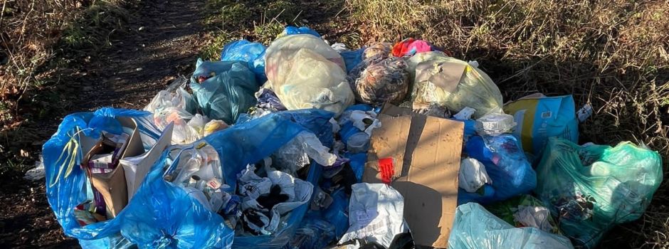 Dreist: Unbekannte kippen Müllberge in Mainzer Naturschutzgebiet