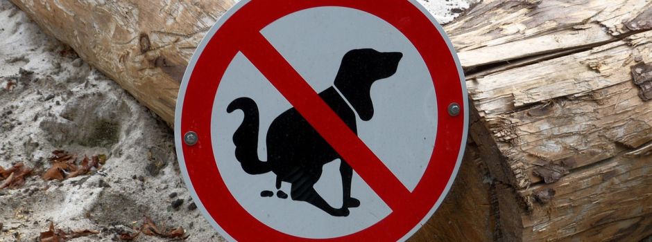 Hundekot sorgt für Ärger