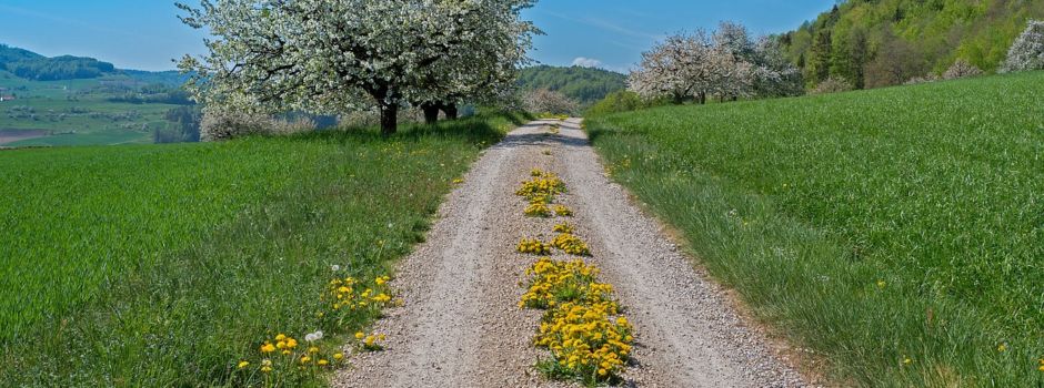 Einladung zur Begehung des Birkheimer Wanderwegs