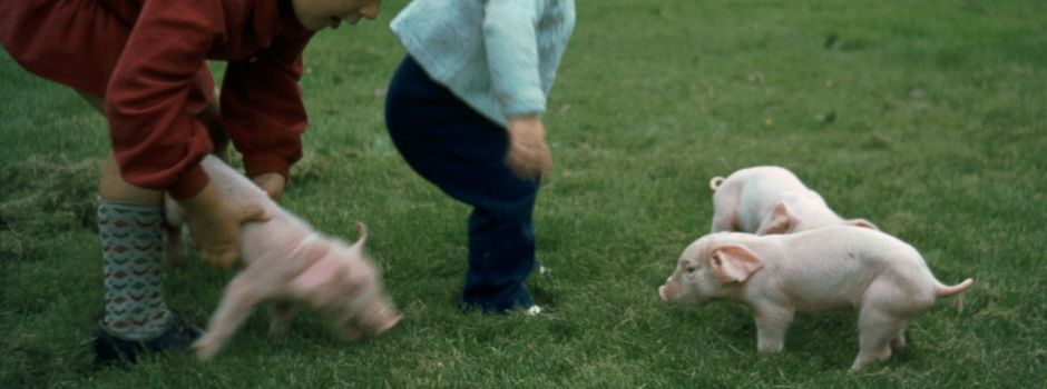 So viel Landwirtschaft im Dorfjubiläum!?