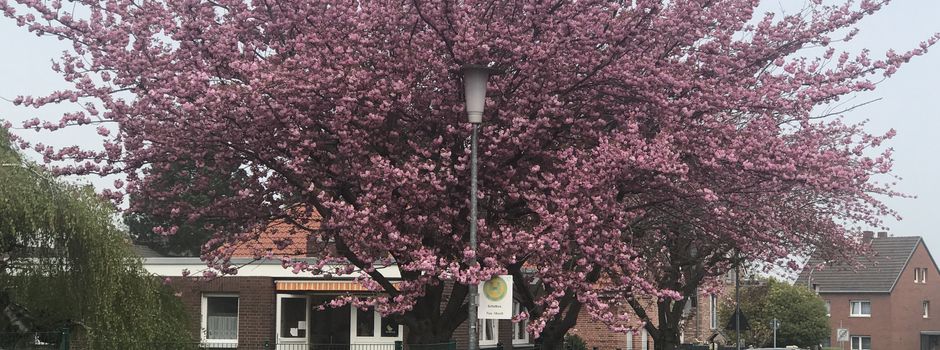 So läuft der Unterricht an der Offenen Ganztagsschule in Mondorf