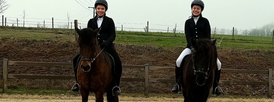 IPZV Westerwald e.V. - 2 x Bronzenes Reitabzeichen und 4 x Pferdeführerschein Umgang auf Hof Waldblick in Oberraden