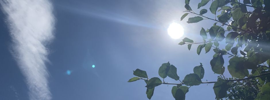 Tipps zur Vermeidung von gesundheitlichen Schäden durch Hitze / Hitzewarnung des Wetterdienstes
