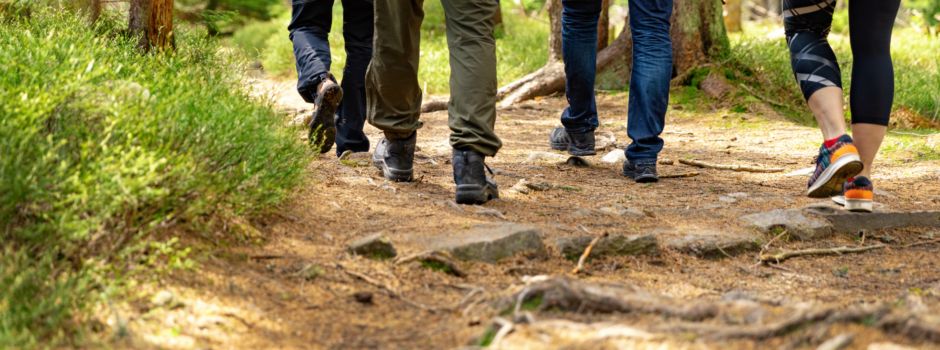 Naturkundegruppe lädt ein zur Heideblüten-Wanderung