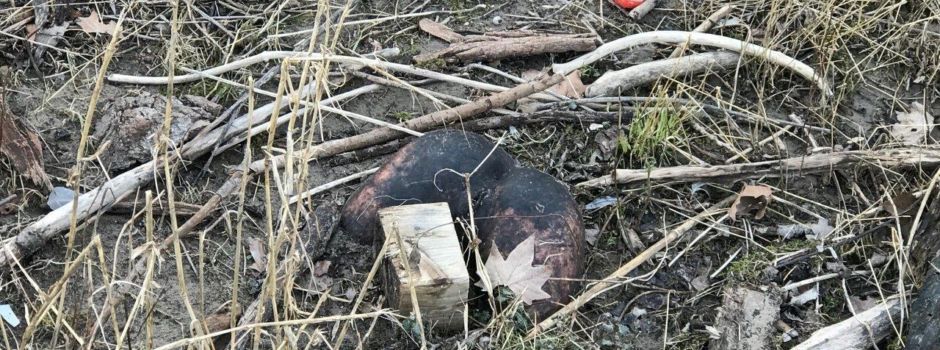 Polizeieinsatz in Laubenheim: Passant meldet vermeintlichen Leichenfund