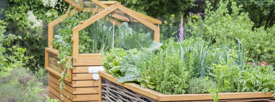 Urban Gardening - Gärtnern kann jeder!