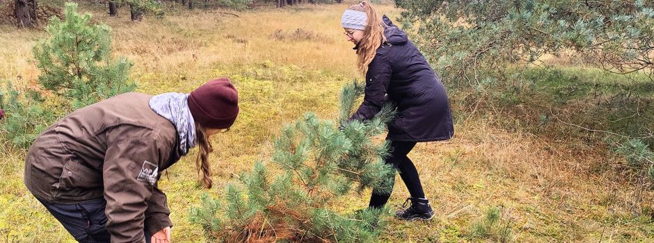 Hand in Hand die Heideflächen pflegen