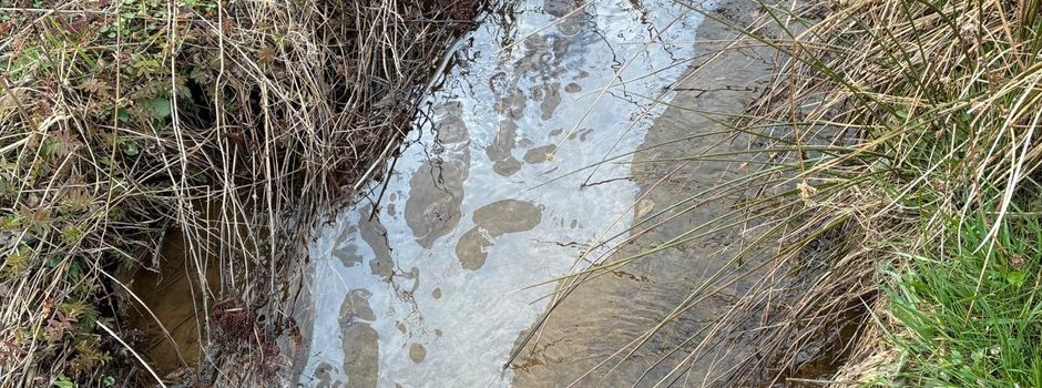 Informationsveranstaltung zu Umweltschaden