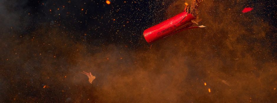 Mainzer Tierschutzverein zu Feuerwerk: „Dem Unsinn ein Ende setzen“