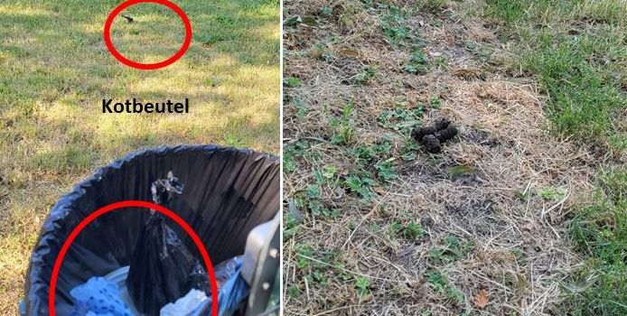 Hundehalter*innen - Ihre Mithilfe ist gefragt 