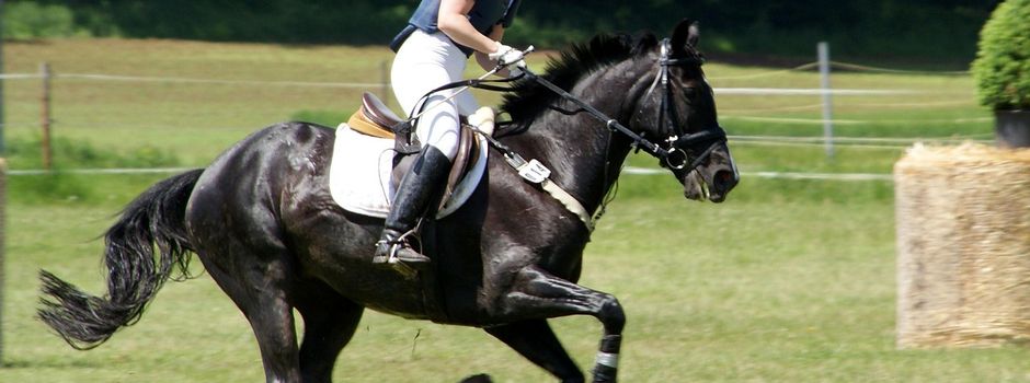 Ringreiterverein Medelby u. Umgebung