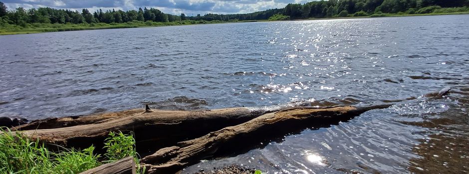 Zeitplan zum Ablassen der Weiher