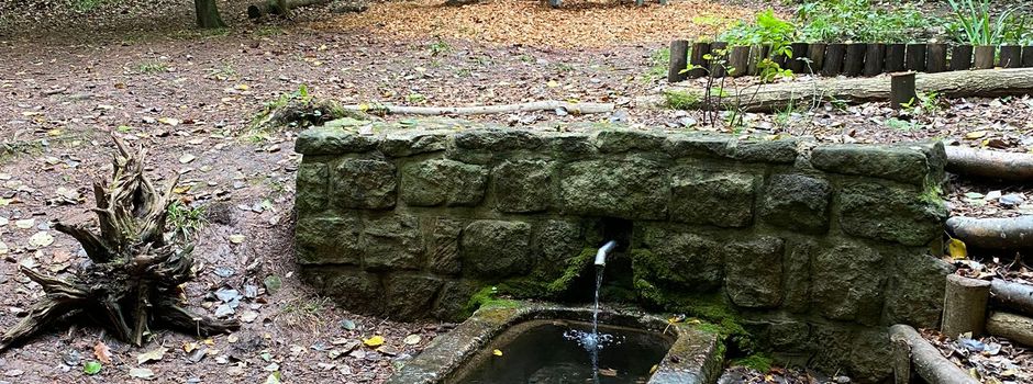 Projektabschluss „Brünnelchen“ - Bürgerinitiative stellt Sitzgelegenheit auf 