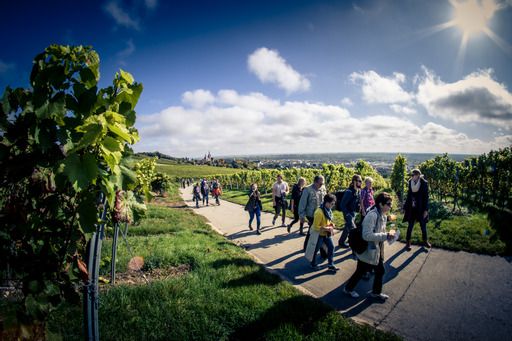 Endlich wieder Schlemmerwanderung in Oppenheim