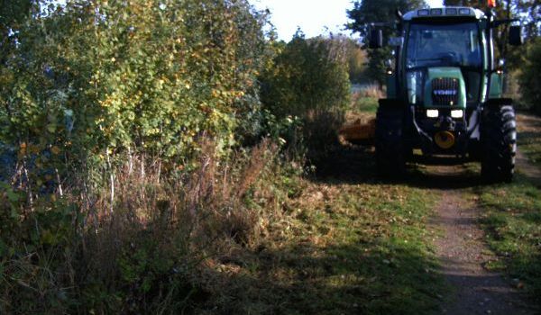 Bankettpflege in der Gemeinde Holt ist abgeschlossen