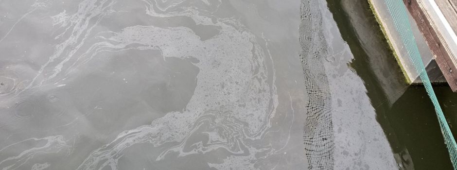 Ölteppich so groß wie ein Fußballfeld auf dem Rhein bei Wiesbaden