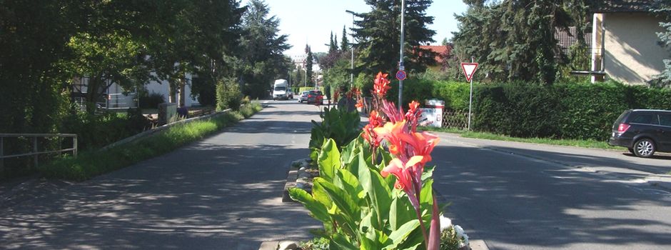 Nach 13 Jahren Pause: Mainzer Traditionsfest kehrt zurück