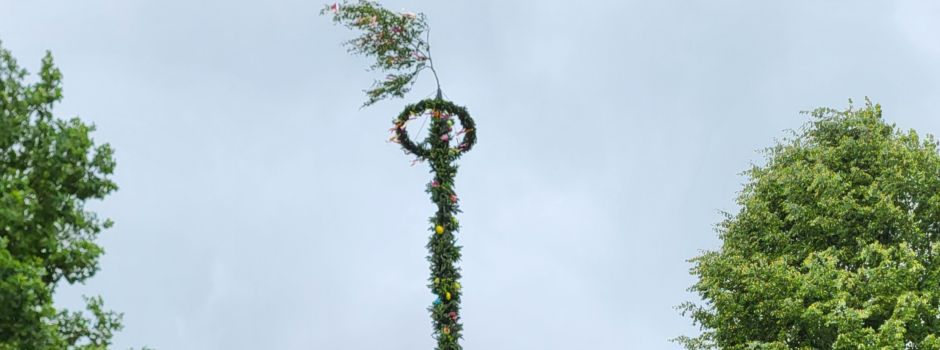 Bosseler Pfingstbaum 2025 steht