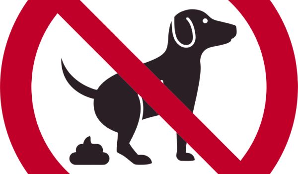 Hundekot im öffentlichen Raum