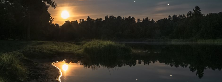 Im Mondschein durch das Pietzmoor